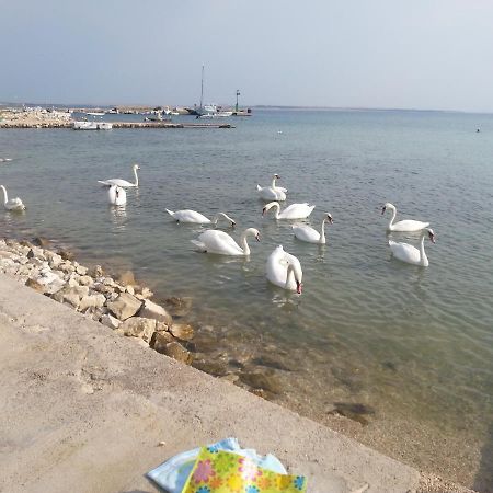 New Kosljun Apartment Short Walk To Beach ภายนอก รูปภาพ