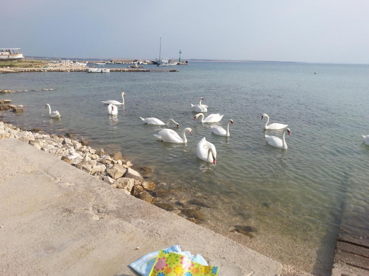 New Kosljun Apartment Short Walk To Beach ภายนอก รูปภาพ